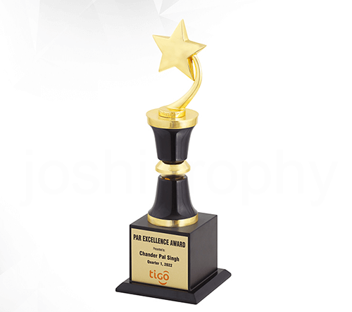 top awards & trophy sellers in india