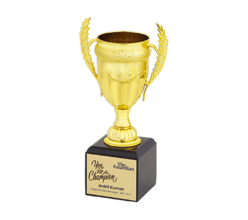 top awards & trophy sellers in india