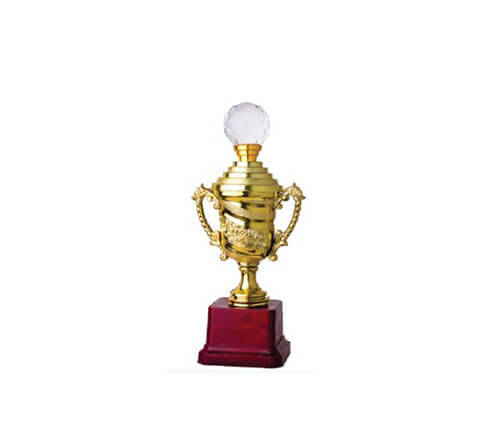 top awards & trophy sellers in india